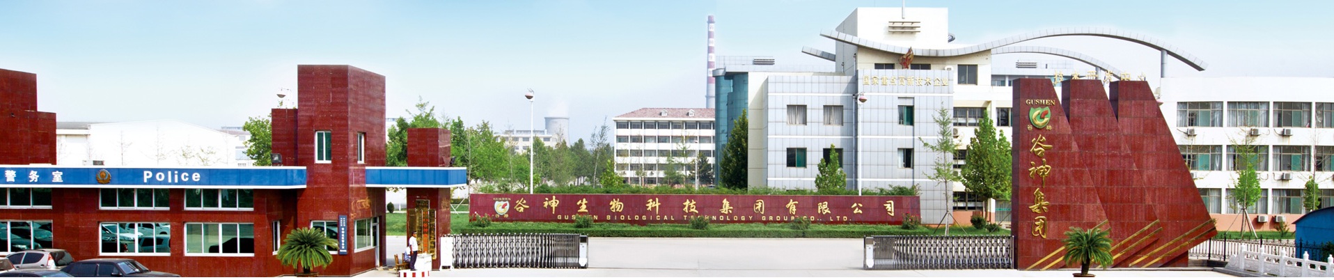 球盟会体育官网怎么进